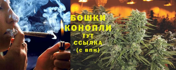 стафф Балабаново